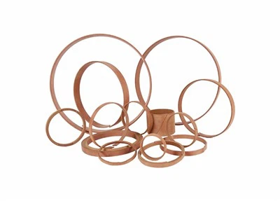 Anillos de guía hidráulica